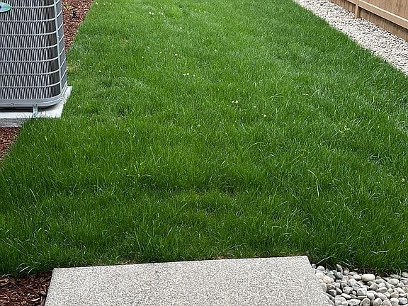 Backyard view from Garage backdoor