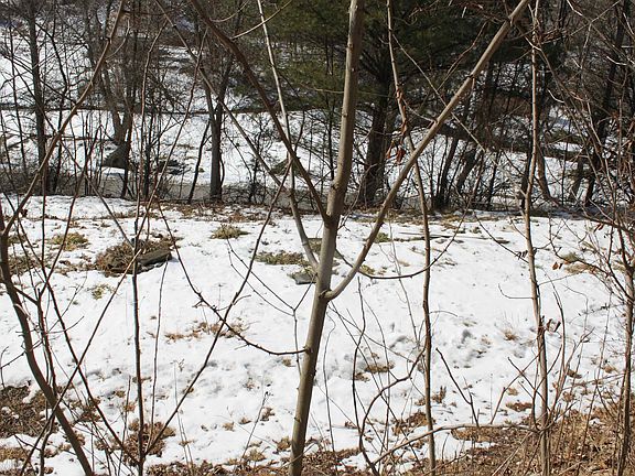 5th image of 190 Coon Creek Rd