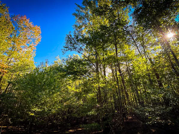 3199 Young Rd, Soddy Daisy, TN 37379