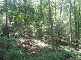 43 Slalom Ln, Talking Rock, GA 30175