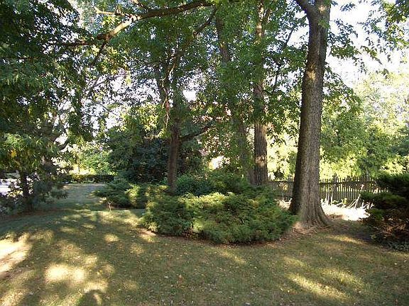 Lower E front yard