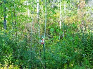 Rivendell Ln, Presque Isle, MI 49777