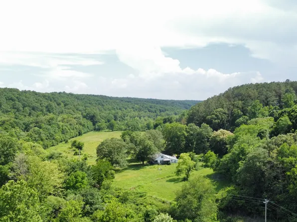 597 Backside Beaverdam Rd, Centerville, TN 37033