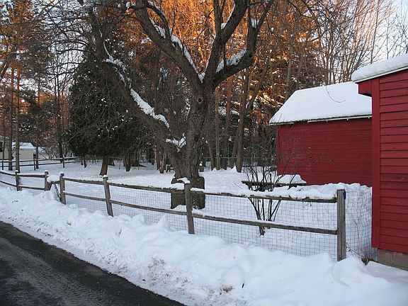 Large, private back yard