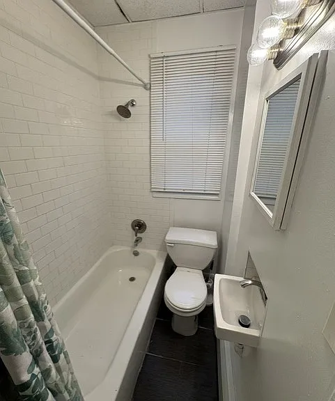 433 Lanza Ave #3 — Photo 5