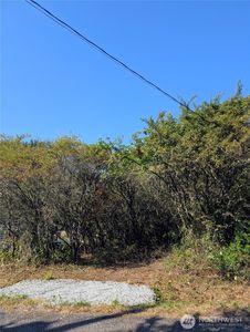 463 Marsh Road, Pt Roberts, WA, 98281