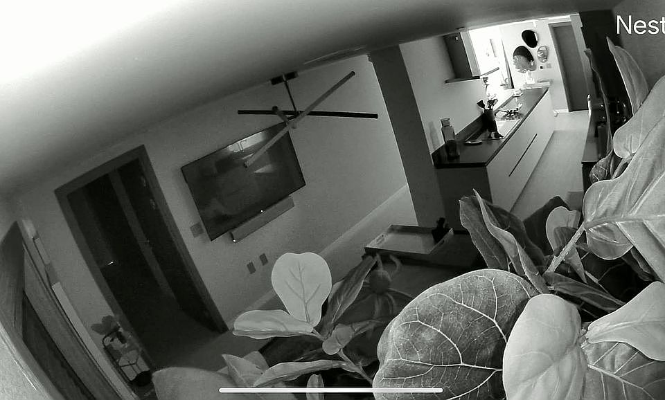 2nd image of 1000 Brickell Plz #4306