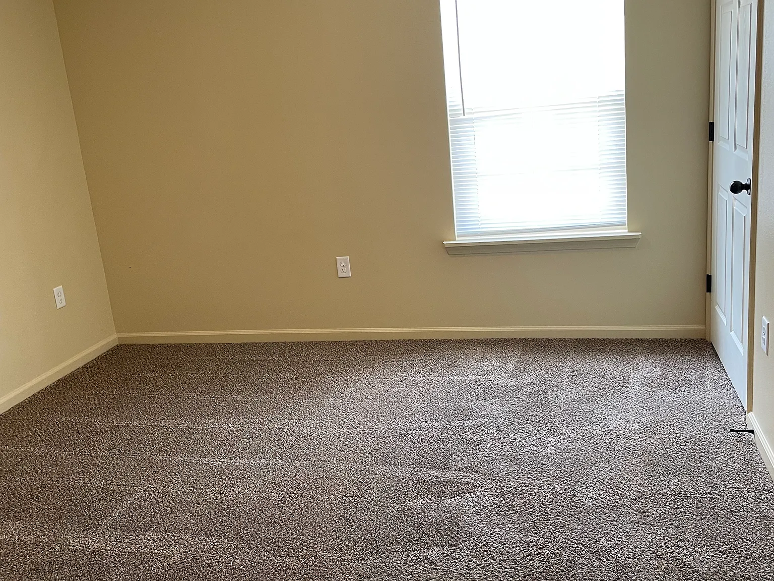 1 bed, 900 sqft, $750 — Photo 4