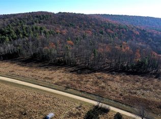 Two Rod Rd, Bath, NY 14810