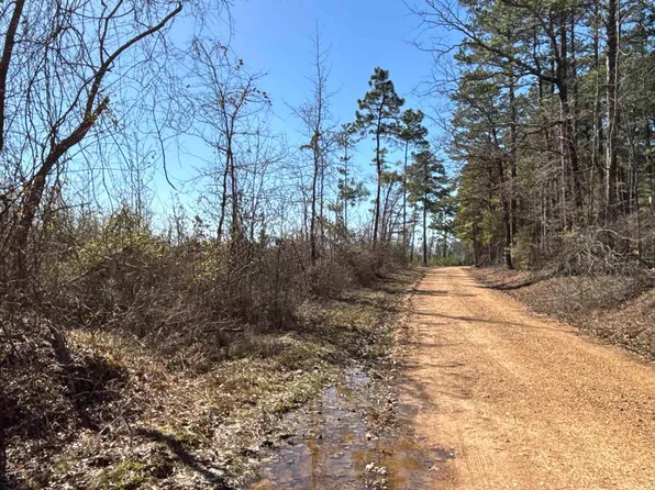 1 Palmetto Rd, Sparkman, AR 71763