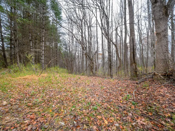 621 Wild Cherry Rd NE Lot D, Pilot, VA 24138