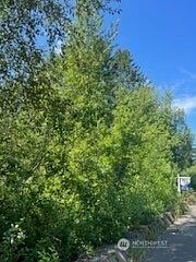 2nd image of 31 xxx NE Lilly Road NE