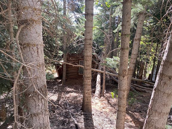 4th image of W North Fork Rd