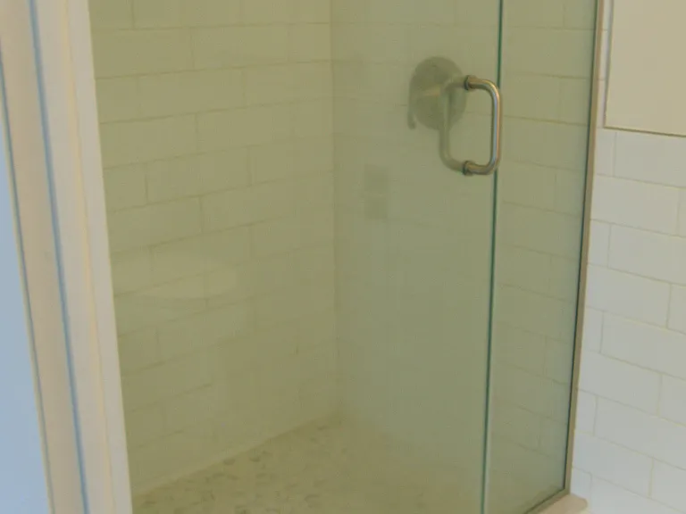Master Bath Shower