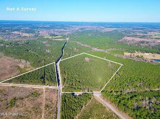 Nhn Gobbler Head Rd, Poplarville, MS 39470