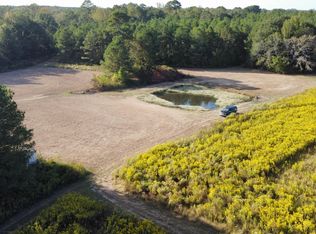 947 Old Robinson Rd, Carthage, MS 39051