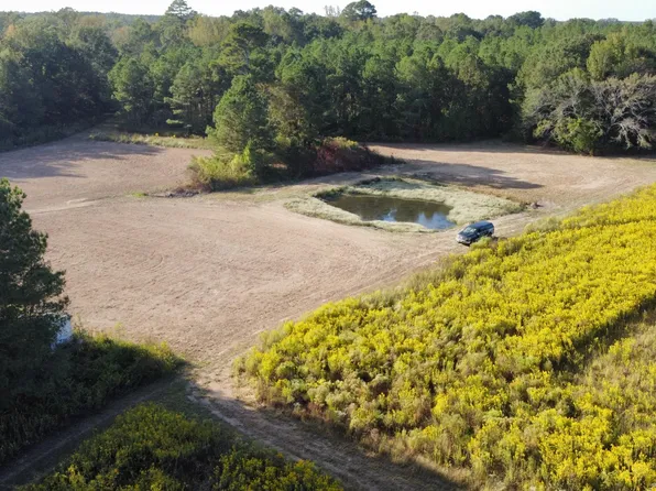 947 Old Robinson Rd, Carthage, MS 39051