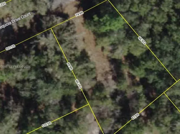 14 Sequoia Drive Ct, Ocklawaha, FL 32179