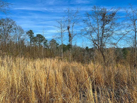 4th image of Tbd Longtown Rd