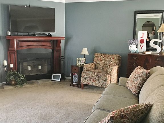 Wood burning fireplace