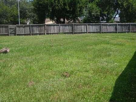 Super Sized Backyard!