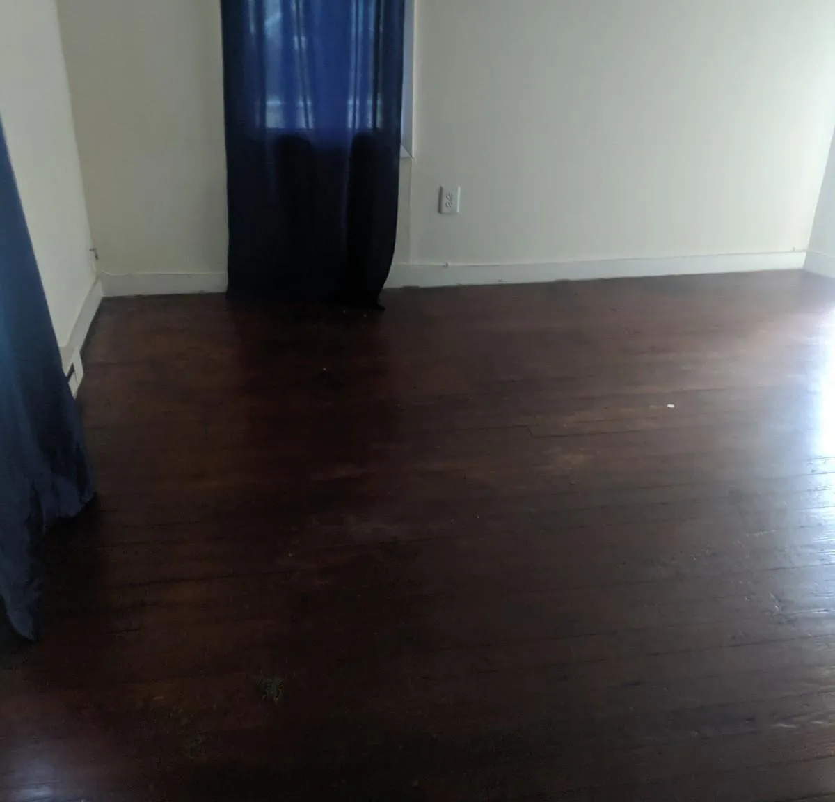 1 bed, $1,170 — Photo 2