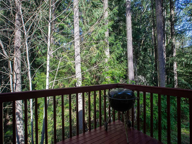 22530 Bluewater Dr SE — Photo 30