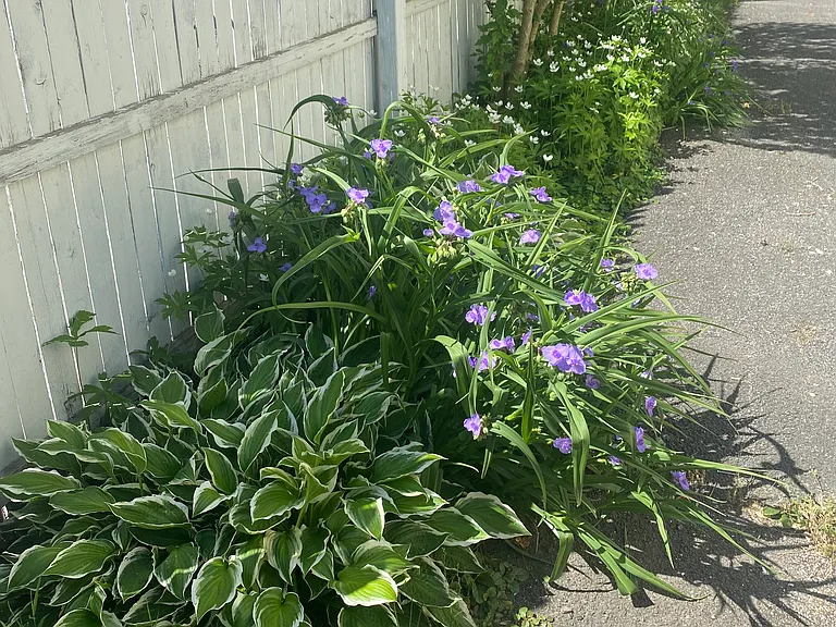 6 Washington Ave — Photo 43