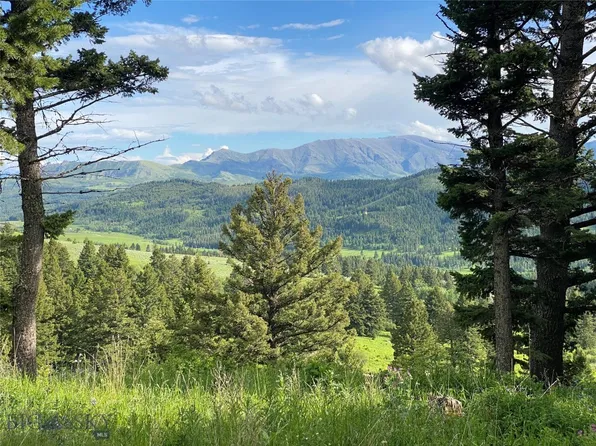 LOT-3536A Twelve Claim Creek Rd, Bozeman, MT 59715