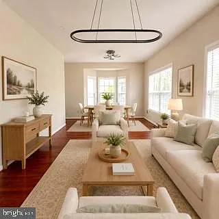 100 Sand Dollar Cv — Photo 4