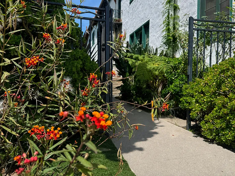 1237 E Santa Clara St — Photo 23