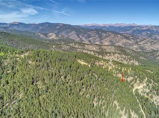 123 Warren Gulch, Idaho Springs, CO 80452