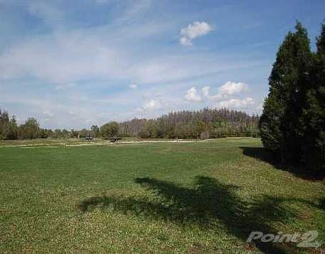 3rd image of 10542 Plantation Bay Dr