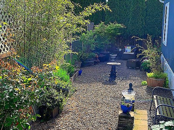 North side garden