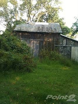 photo (1)