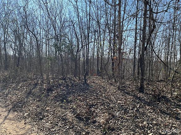 4th image of PARCEL 3 Lake Rd