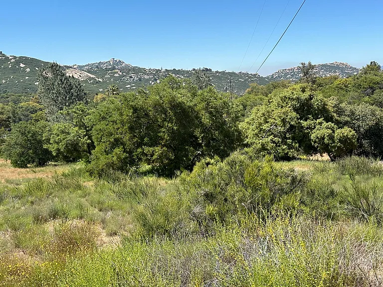 2340 Mount Elena Way — Photo 26
