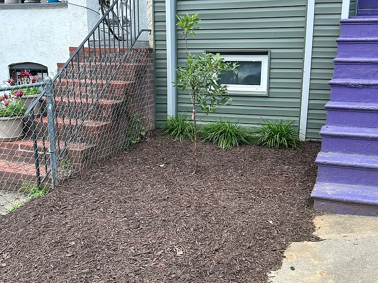 852 W 33rd St — Photo 3