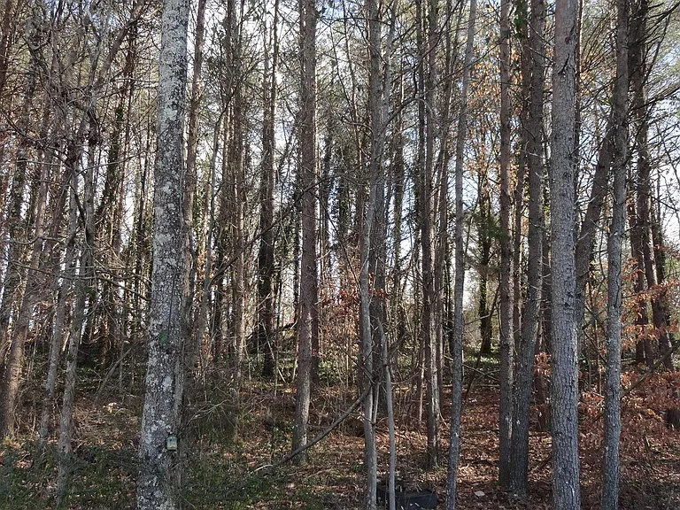 856 Lower Mill Rd — Photo 32
