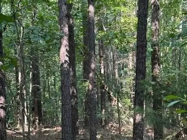 0 Fernbank Rd, Millport, AL 35576