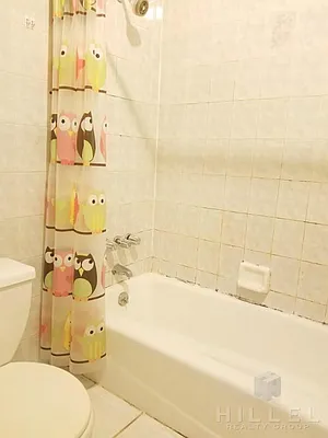 Rented by Hillel Realty Group | media 12