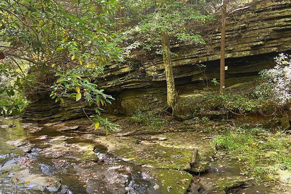 2nd image of Coffee Mill Run