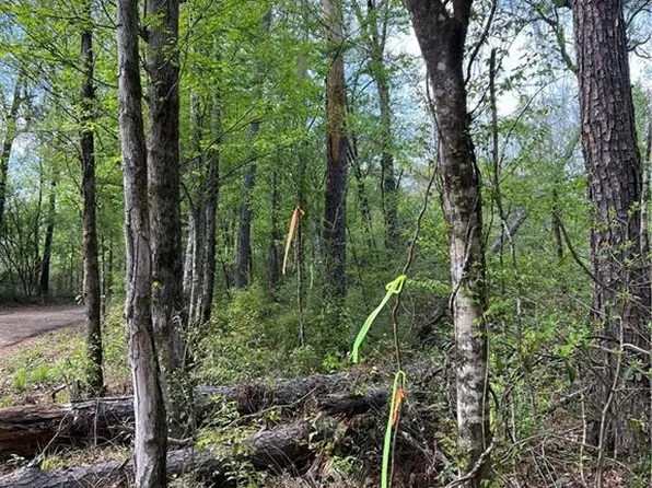 0 E Paradise Park Ln, Independence, LA 70443