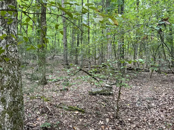 0 Sewanee Summit Rd Lot 21, Decherd, TN 37324