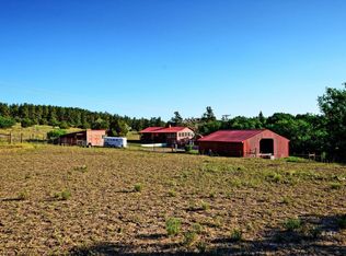 1147 County Road 389, Wetmore, CO 81253