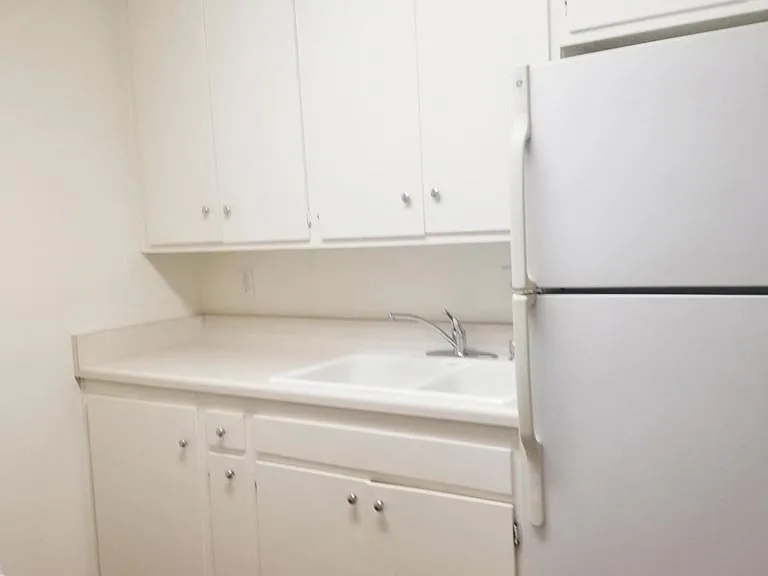 1013 Meta St — Photo 6