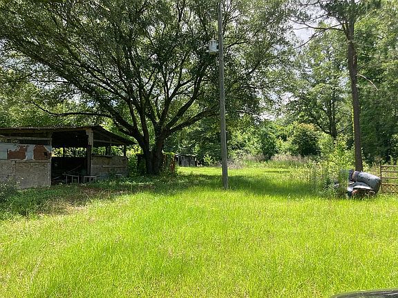 A lot of beautiful oak trees