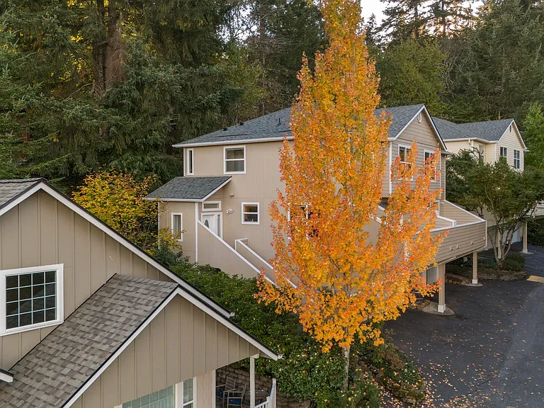 3810 Colony Oaks Dr — Photo 5