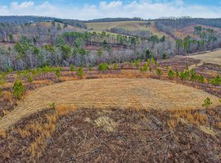 Possom Trot Rd TRACT 2, Grandview, TN 37337