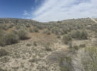 Pickering Ave, Spring Creek, NV 89815